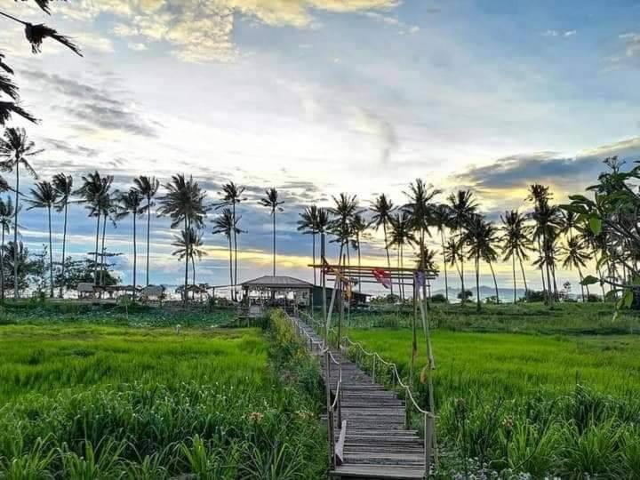 Hotel I - Talay Taling Ngam Samui - เขา ป่า นา เล ตลิ่งงาม สมุย Esterno foto