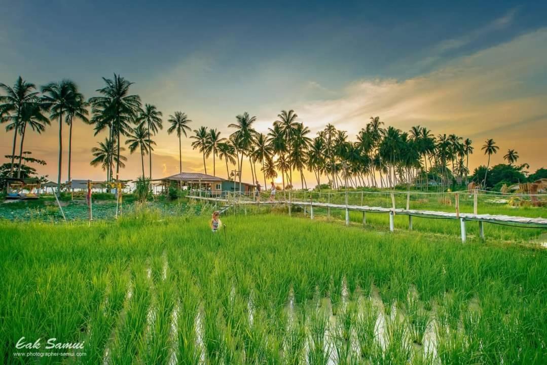 Hotel I - Talay Taling Ngam Samui - เขา ป่า นา เล ตลิ่งงาม สมุย Esterno foto