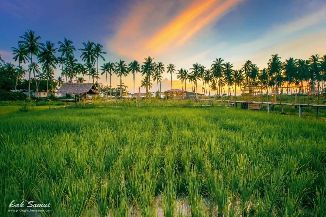 Hotel I - Talay Taling Ngam Samui - เขา ป่า นา เล ตลิ่งงาม สมุย Esterno foto